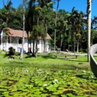 Fachada do Museu de Arte de Joinville, casa histórica branca, atrás de um lago com vitória-régia