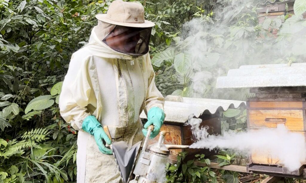 Artesanato, criação de abelhas e casqueamento estão entre os cursos oferecidos para produtores rurais de Joinville em junho