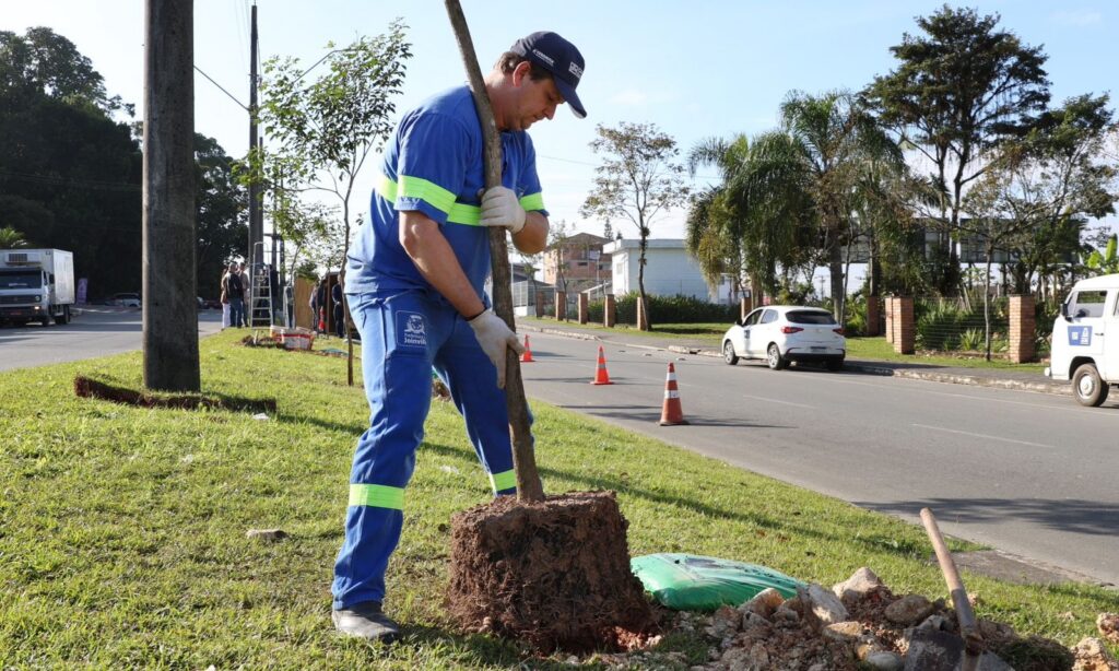 Plantio de ipês-amarelos marca mais uma ação do Junho Verde em Joinville