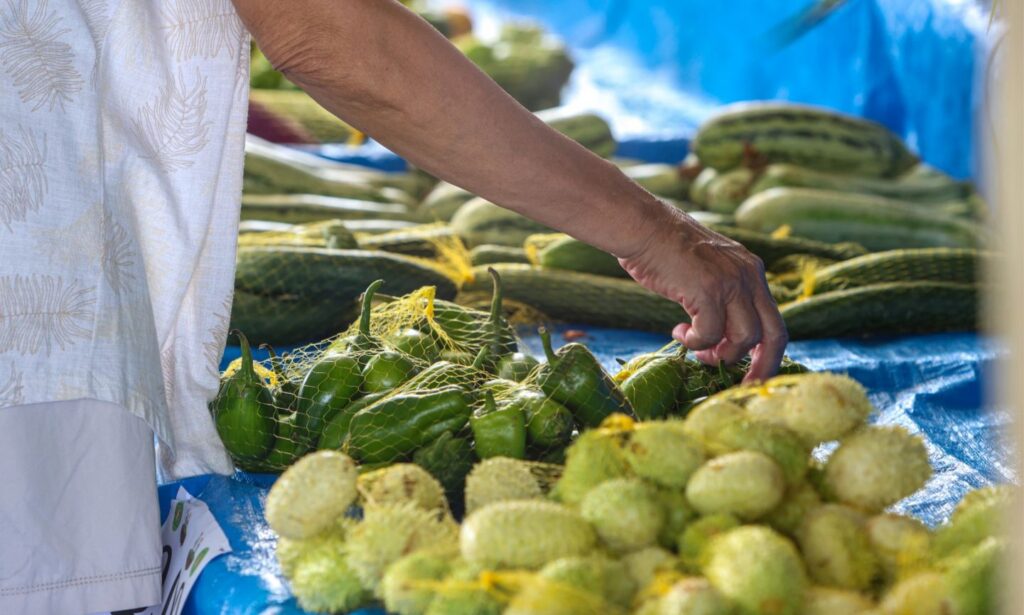 Prefeitura de Joinville abre inscrições para capacitação sobre manipulação de alimentos para feirantes e comerciantes ambulantes