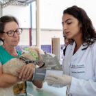 Tutora segura cachorro com veterinária ao lado antes de microchipagem