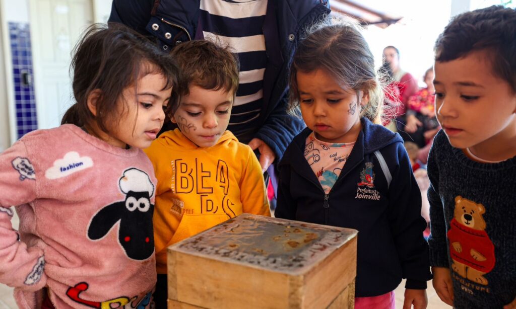 Instalação de meliponários em unidades escolares de Joinville destaca a importância das abelhas e dos cuidados com a natureza