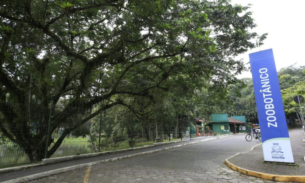 Caminhada em alusão ao Junho Verde reúne vacinação, distribuição de mudas e ações de saúde e lazer em Joinville