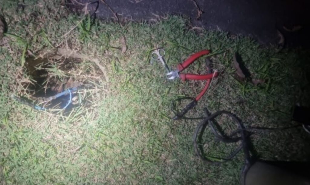 Guarda Municipal de Joinville flagra tentativa de furto da fiação no Parque da Cidade