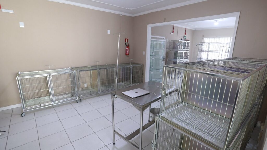 Imagem mostra uma sala ampla, com uma mesa de inox e várias baias de arame para acolhimento de animais