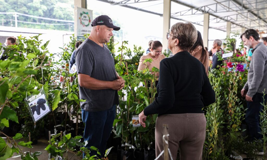 Feira Direto do Campo promove encontro entre produtores rurais e consumidores no próximo fim de semana em Joinville