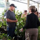 Homem de boné está em pé conversando com uma mulher idosa. Ao redor deles, há diversas plantas