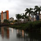 Imagem mostra o rio Cachoeira impactado pela elevação da maré, com grande volume de água. Ele está na área urbana da cidade, com prédios e árvores ao redor.