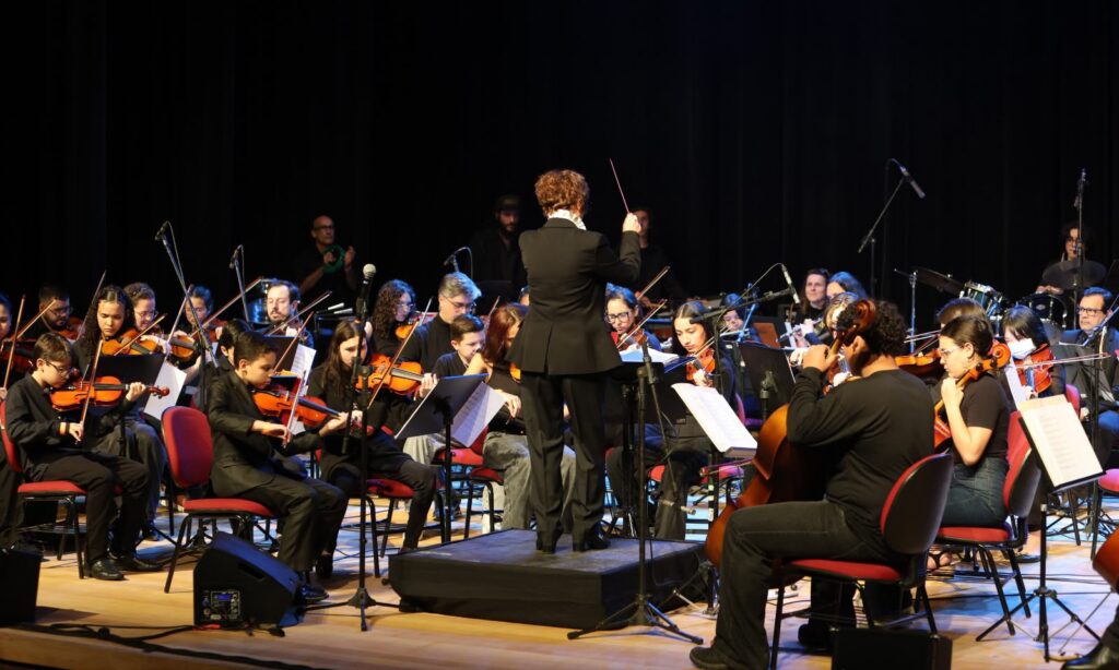 Escola de Música Villa-Lobos promove dois encontros dedicados ao blues em Joinville