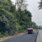 Rolo compressor passa por camada de asfalto em rua margeada por árvores