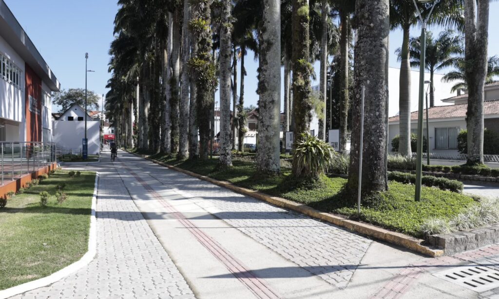 Prefeitura de Joinville conclui requalificação de passeios no entorno da Rua das Palmeiras