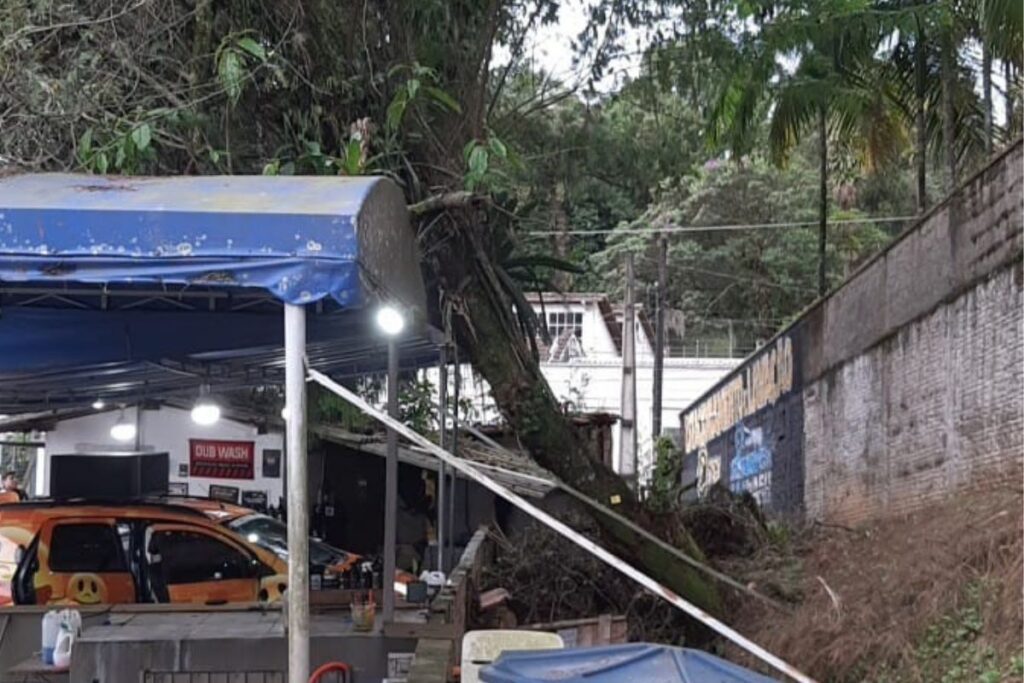Defesa Civil atende ocorrências causadas pelo vento em Joinville