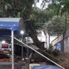 Imagem mostra uma árvore grande com parte do tronco em cima de uma cobertura