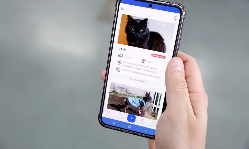 Funcionalidade “Pet Desaparecido” do app Joinville Fácil completa um mês