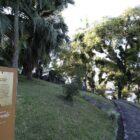 Sepultadoras envoltas por gramado e árvores