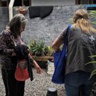 Duas mulheres estão em um jardim e uma delas usa um colete da Vigilância Ambiental. Elas conversam de costas para a câmera