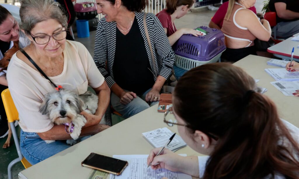 Prefeitura de Joinville realiza mutirão de microchipagem para cães e gatos no Morro do Meio e bairros da região
