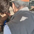 Menino segura cachorro caramelo deitando no chão, enquanto um homem com colete da vigilância passa um aparelho de leitor de microchip no corpo do animal