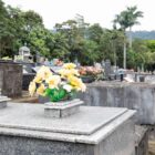 Foto mostra uma sepultura com flores amarelas em primeiro plano. Ao fundo, há outras sepulturas em um cemitério.