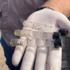 A mão de um homem que usa luvas descartáveis segura três tubos com água e larvas do mosquito da dengue