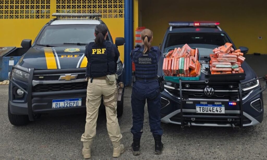 Guarda Municipal de Joinville apreende 70 quilos de droga em operação conjunta com a PRF