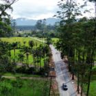 Foto aérea mostra rua pavimentada em meio à área de vegetação