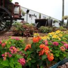 Flores coloridas em canteiro, com carroça e carrinho de mão em madeira no fundo