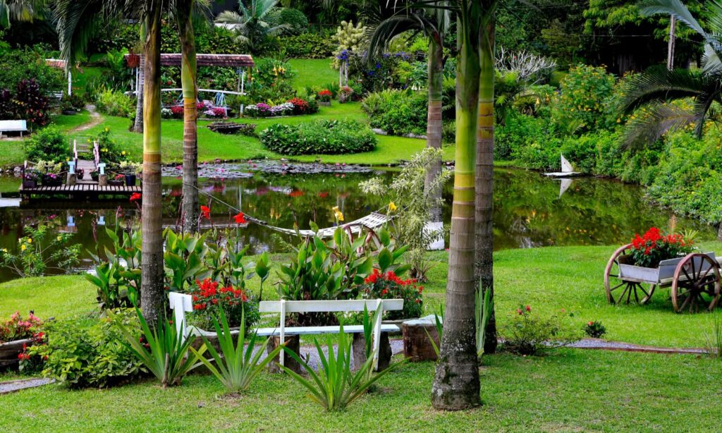 Concurso de Jardins da 86ª Festa das Flores tem inscrições prorrogadas e vencedores receberão premiação especial