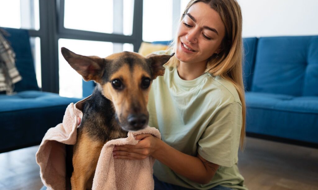 Cuidados com os animais fazem parte da preparação para o El Niño em Joinville
