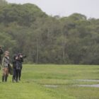 Foto mostra um amplo campo, com uma lagoa e vegetação ao fundo. Há cinco pessoas em pé, algumas com câmeras apontadas para o lado da lagoa.